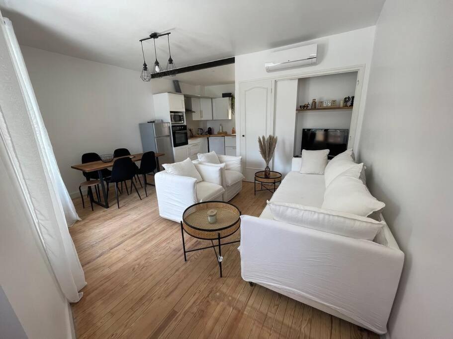 La Batellerie, Vue Sur Rhone Villa Tain-lʼHermitage Eksteriør bilde